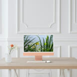 Kunstwerk in situatie