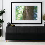 Werk ingelijst gepresenteerd