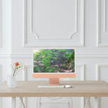 Kunstwerk in situatie