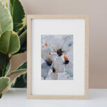 Aanvullende afbeeldingen 7