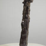 Vues supplémentaires 12