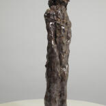 Vues supplémentaires 12