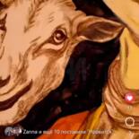 Дополнительные снимки 7