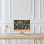 Kunstwerk in situatie