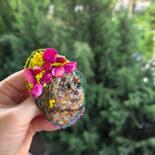 Дополнительные снимки 7