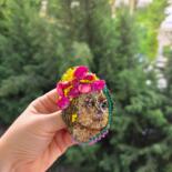 Дополнительные снимки 7