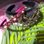 Дополнительные снимки 8