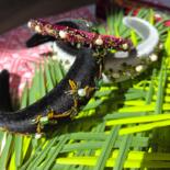 Дополнительные снимки 8