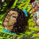 Основное изображение