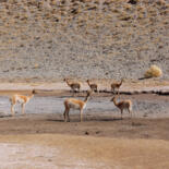 Основное изображение