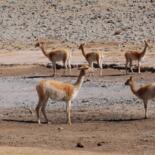 Дополнительные снимки 3