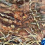 Подробности