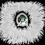 Schritte der Herstellung der Arbeit