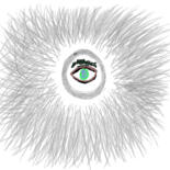 Schritte der Herstellung der Arbeit