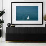 Werk ingelijst gepresenteerd