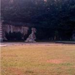 Immagine principale