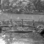 Image principale