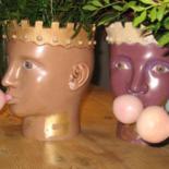 Image principale