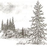 Image principale