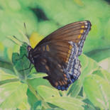 Painting titled "Butterfly" by Reidsart, Original Artwork, Watercolor