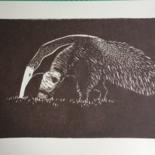 Gravures & estampes intitulée "Tamanduá" par Louise Tenuta, Œuvre d'art originale
