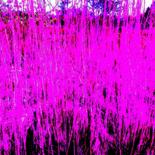 Hauptbild
