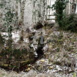 Image principale