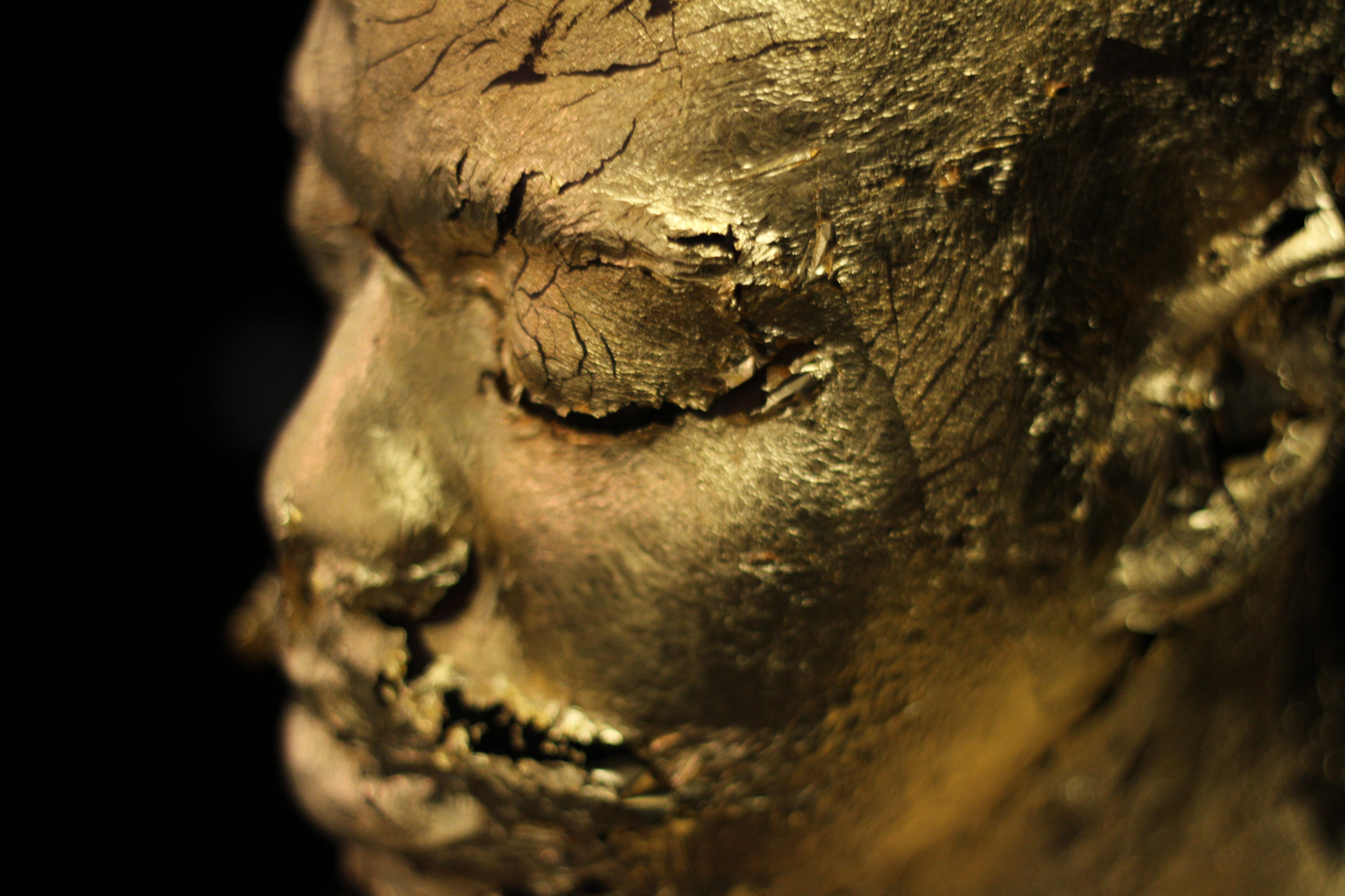 Respirar ou não respirar — a arte como respiração vital